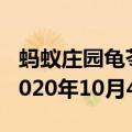 蚂蚁庄园龟苓膏里真的有乌龟么 庄园小课堂2020年10月4日答案