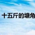 十五斤的塘角鱼（买巨型塘角鱼的北方老表）