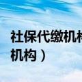 社保代缴机构可以领取生育津贴吗（社保代缴机构）