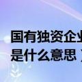 国有独资企业是什么单位性质（国有独资企业是什么意思）