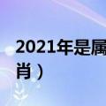 2021年是属什么的生肖（2021年是属什么生肖）