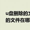 u盘删除的文件找回了但是损坏了（u盘删除的文件在哪里）