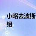 小昭去波斯后结局 小昭去波斯后结局剧情介绍