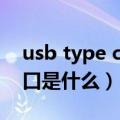 usb type c接口是什么意思（usb type c接口是什么）