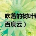 吹落的树叶泰剧百度云全集（吹落的树叶泰剧百度云）