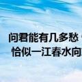 问君能有几多愁 恰似一江春水向东流（关于问君能有几多愁 恰似一江春水向东流的介绍）