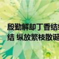 殷勤解却丁香结纵放繁枝散诞春意思是什么（殷勤解却丁香结 纵放繁枝散诞春的意思）