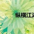 纵横江湖（关于纵横江湖的介绍）