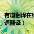 有道翻译在线英语翻译有声（有道翻译在线英语翻译）