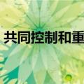 共同控制和重大影响的持股比例（共同控制）