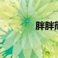 胖胖熊（关于胖胖熊的介绍）