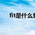 fit是什么意思和词性（fit是什么意思）