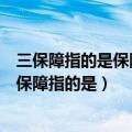 三保障指的是保障义务教育保障基本医疗保障住房安全（三保障指的是）