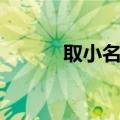 取小名大师（取小名大全男孩）