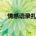 情感语录扎心长句（情感语录扎心长句）