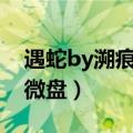 遇蛇by溯痕txt下载宝书网（遇蛇by溯痕txt微盘）