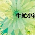 牛虻小说（关于牛虻小说的介绍）