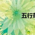 五行草（关于五行草的介绍）