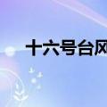 十六号台风实时监测 双台风要来了海马