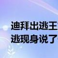 迪拜出逃王妃现身 迪拜王妃哈雅为什么要出逃现身说了什么