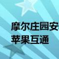 摩尔庄园安卓能和苹果玩么 摩尔庄园安卓和苹果互通