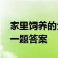 家里饲养的大鹅,它们的祖先是_5月15日每日一题答案