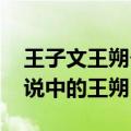 王子文王朔个人感情经历 王子文老公不是传说中的王朔