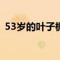 53岁的叶子楣现状（出身红色家庭伯乐李安