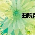 曲院风荷纯音乐（曲院风荷）