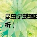 昆虫记蜣螂的摘抄（昆虫记蜣螂精美语段及赏析）