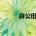 薛公田文入秦待了多久（薛公）