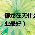 御龙在天什么职业最有前途（御龙在天什么职业最好）