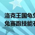 洛克王国龟兔赛跑克制什么兔子（洛克王国龟兔赛跑技能石）