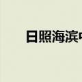 日照海滨中学简介 日照市金海岸中学