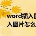 word插入图片怎么批量调整大小（word插入图片怎么排版）