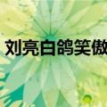 刘亮白鸽笑傲江湖完整（刘亮白鸽笑傲江湖）