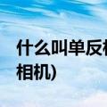 什么叫单反相机 单反是什么意思(什么叫单反相机)