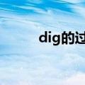 dig的过去式 dig的过去式是什么