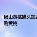 砀山黄桃罐头加盟代理 罐头生产企业纷纷来到安徽砀山县选购黄桃