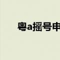 粤a摇号申请网站 粤A牌阶梯摇号来了