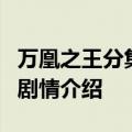 万凰之王分集剧情介绍 电视剧万凰之王1-5集剧情介绍