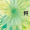 歼 7（关于歼 7的介绍）