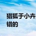 猎狐于小卉的结局是什么 演员的演技都是不错的