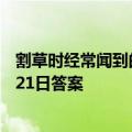 割草时经常闻到的“青草气味”,其实是植物在 蚂蚁庄园5月21日答案