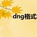 dng格式怎么用（DNG是什么格式）