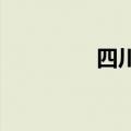 四川农村信用社网上银行