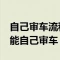 自己审车流程需要多长时间（学会这3步你也能自己审车）