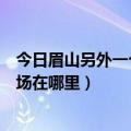 今日眉山另外一个人才市场在哪里呀（眉山另外一个人才市场在哪里）