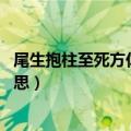 尾生抱柱至死方休是什么意义（尾生抱柱 至死方休是什么意思）