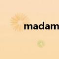 madam和lady的区别（madam）